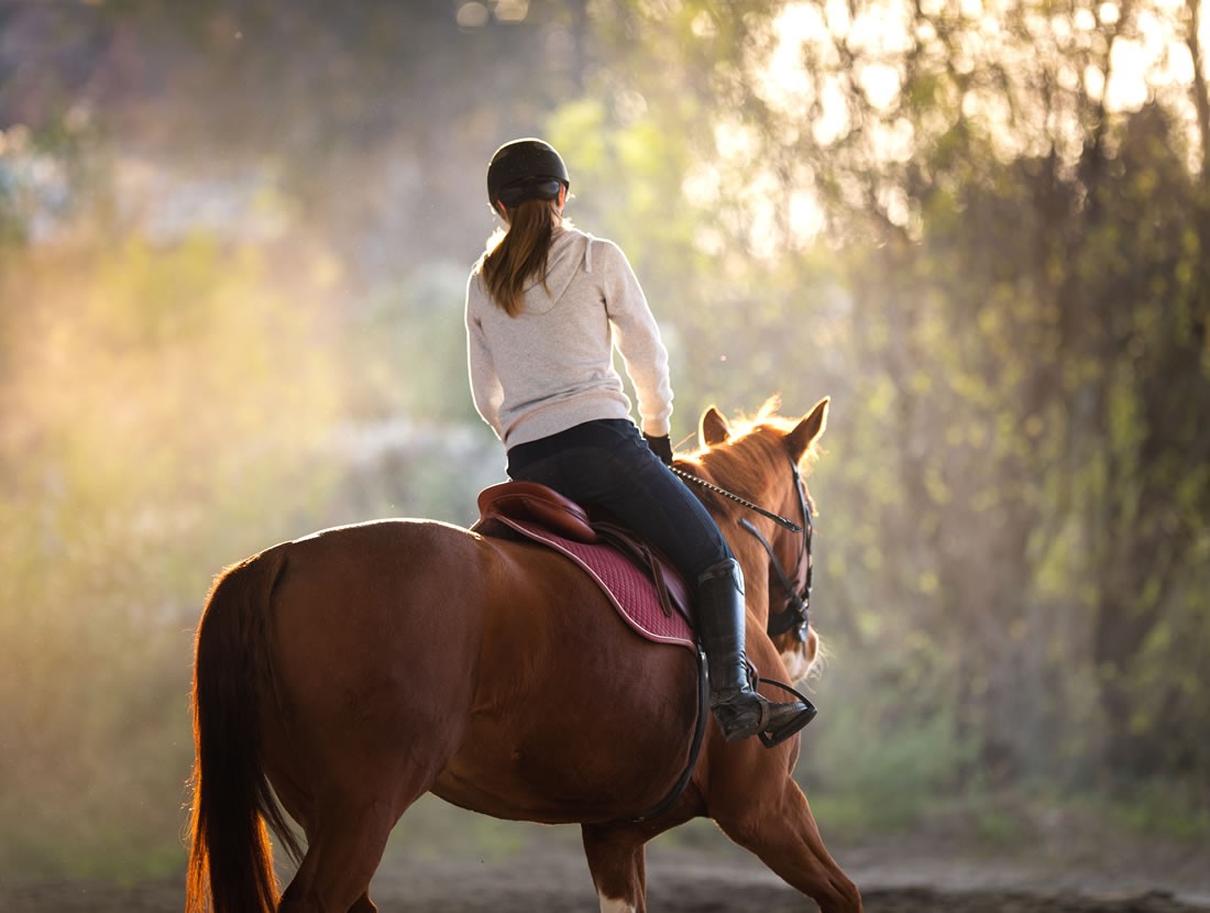 Reiten beim Zauchtalerhof © Shutterstock